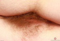 ATK hairy Apricot Pitts Set