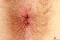 ATK hairy Apricot Pitts Set