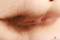 ATK hairy Apricot Pitts Set