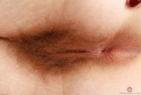 ATK hairy Apricot Pitts Set