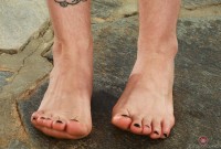 ATK hairy Apricot Pitts Set