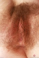 ATK hairy Apricot Pitts Set