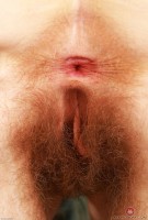 ATK hairy Apricot Pitts Set