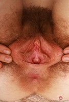 ATK hairy  in scary hairy