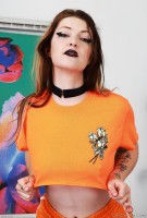 ATK hairy Apricot Pitts Set