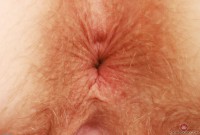 ATK hairy Apricot Pitts Set