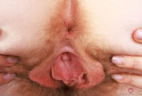 ATK hairy Apricot Pitts Set