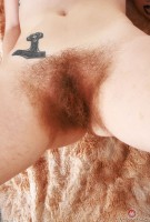 ATK hairy Apricot Pitts Set