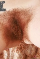 ATK hairy Apricot Pitts Set
