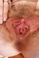 ATK hairy Apricot Pitts Set