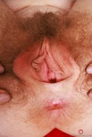 ATK hairy Apricot Pitts Set