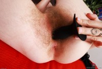 ATK hairy Apricot Pitts Set