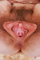 ATK hairy Apricot Pitts Set