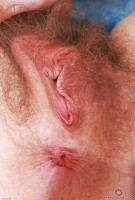 ATK hairy Apricot Pitts Set