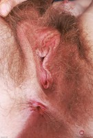 ATK hairy Apricot Pitts in young and hairy