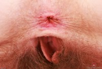 ATK hairy Apricot Pitts Set