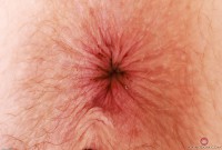 ATK hairy Apricot Pitts Set