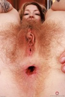 ATK hairy Apricot Pitts in young and hairy