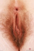 ATK hairy Apricot Pitts Set