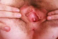 ATK hairy Apricot Pitts in young and hairy