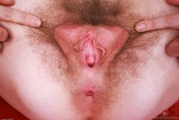 ATK hairy Apricot Pitts Set