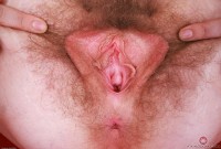 ATK hairy Apricot Pitts in young and hairy