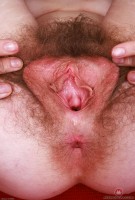 ATK hairy Apricot Pitts Set