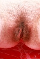 ATK hairy Apricot Pitts Set