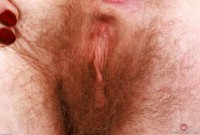 ATK hairy Apricot Pitts in young and hairy