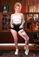 ATK hairy Apricot Pitts Set