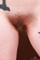 ATK hairy Apricot Pitts in young and hairy