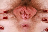 ATK hairy Apricot Pitts Set