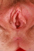 ATK hairy Apricot Pitts in young and hairy