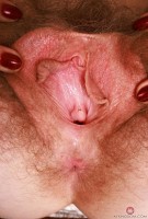 ATK hairy Apricot Pitts Set