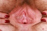 ATK hairy Apricot Pitts in young and hairy