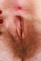 ATK hairy Apricot Pitts in young and hairy