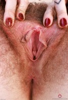 ATK hairy Apricot Pitts Set