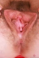 ATK hairy Apricot Pitts Set