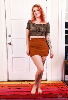 ATK hairy Apricot Pitts Set
