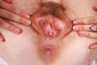ATK hairy Apricot Pitts Set