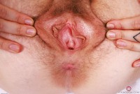 ATK hairy Apricot Pitts Set