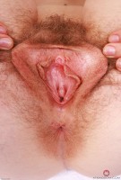 ATK hairy Apricot Pitts Set