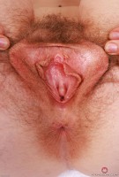 ATK hairy Apricot Pitts Set