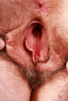 ATK hairy Apricot Pitts Set