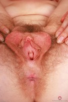 ATK hairy Apricot Pitts Set