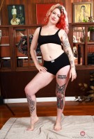 ATK hairy Apricot Pitts Set