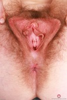 ATK hairy Apricot Pitts Set