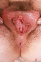 ATK hairy Apricot Pitts in young and hairy