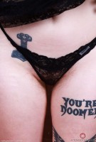 ATK hairy Apricot Pitts Set