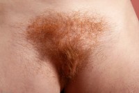 ATK hairy Ava Set